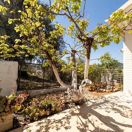 Olea House 2' Walk From The Sea