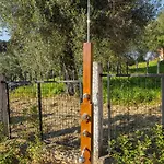 Olea House 2' Walk From The Sea
